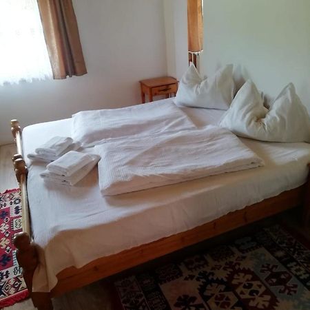 Hotel Vila Ovi Bran  Exteriér fotografie