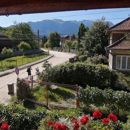 Hotel Vila Ovi Bran  Exteriér fotografie