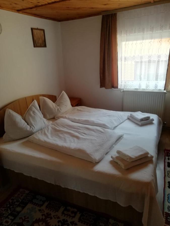 Hotel Vila Ovi Bran  Exteriér fotografie