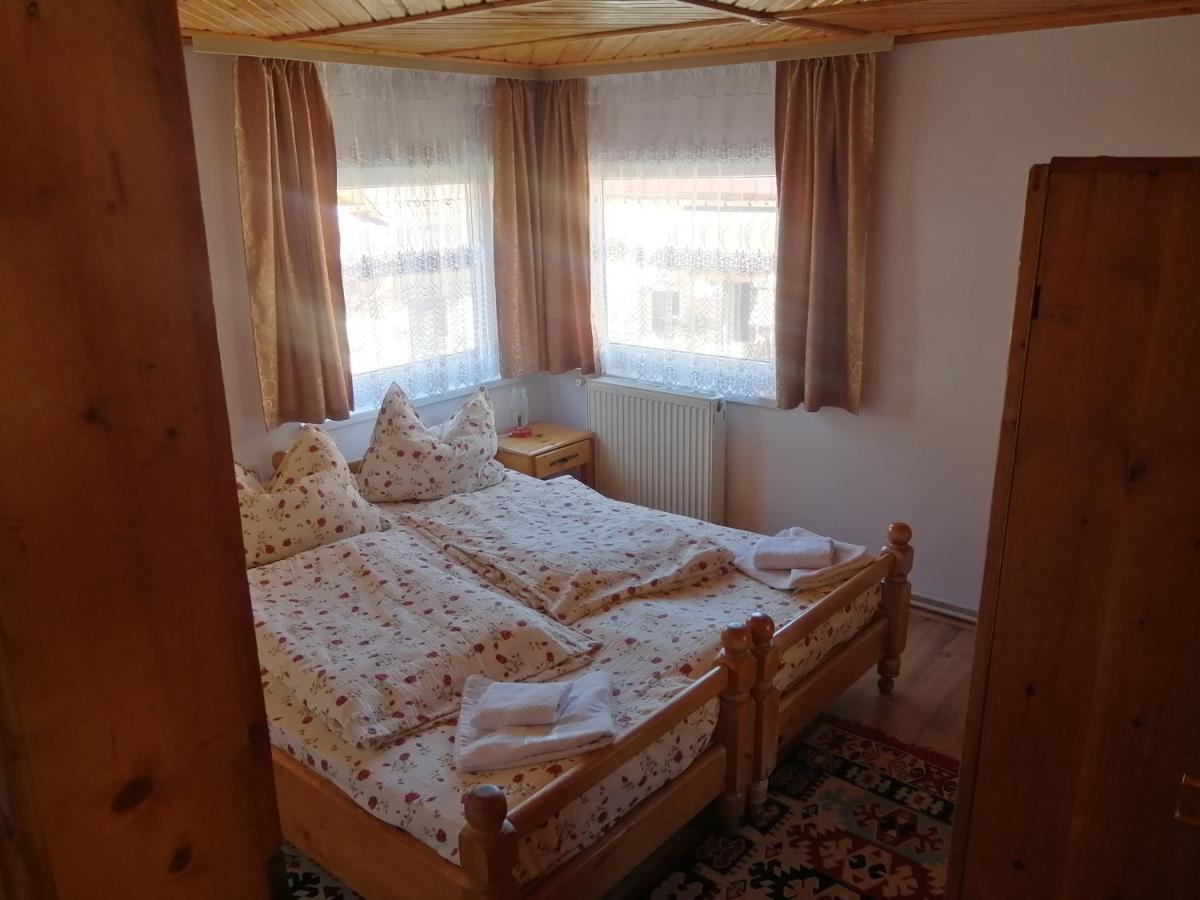 Hotel Vila Ovi Bran  Exteriér fotografie